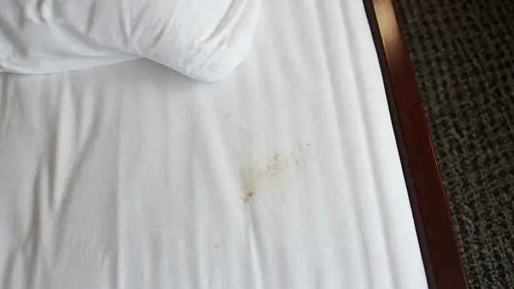 A pale brown mark on white bed linen beside an upholstered frame